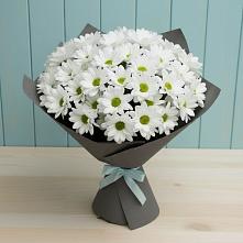 Букет цветов из:  Хризантемы #REPLACE_PRED# Месягутово