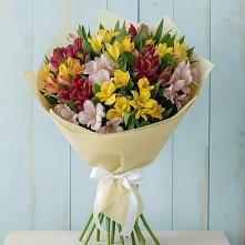 Букет цветов из:  Альстромерии #REPLACE_PRED# Месягутово